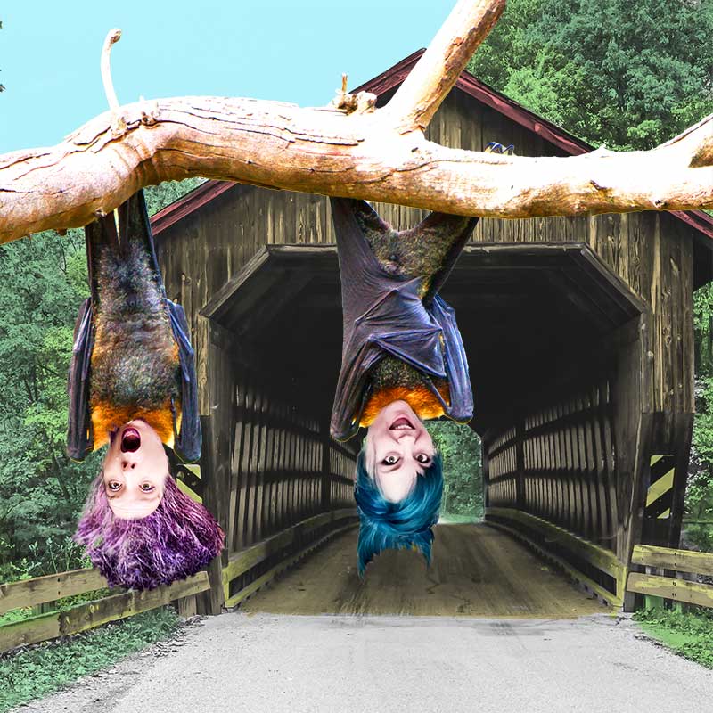 Origin of the word "bats" Etymology for goth polyglots