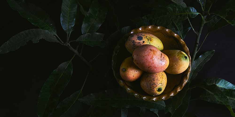 Lucumí and the Mango Tree