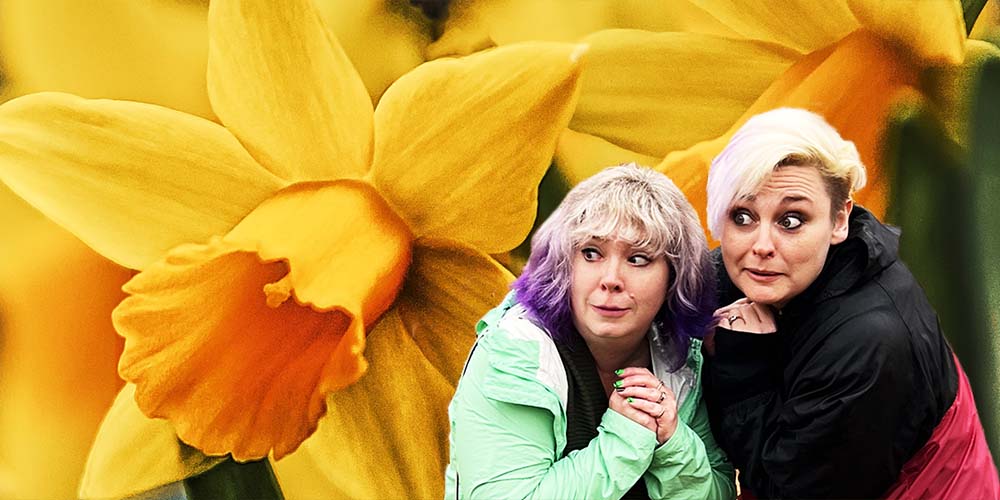 The meaning behind the devilish daffodil