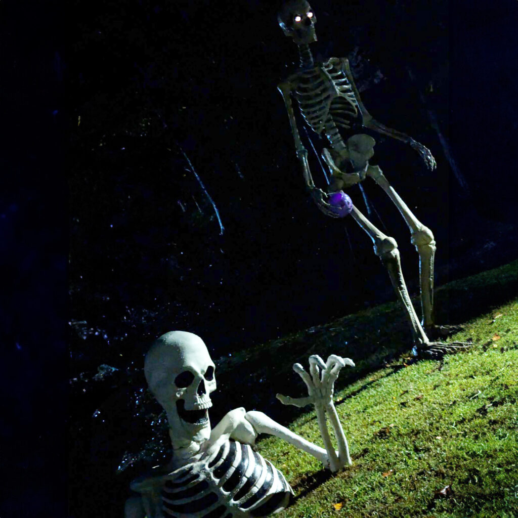 two enormous plastic skeletons crawl out of Becky's yard at night, illuminated by a single spotlight. 