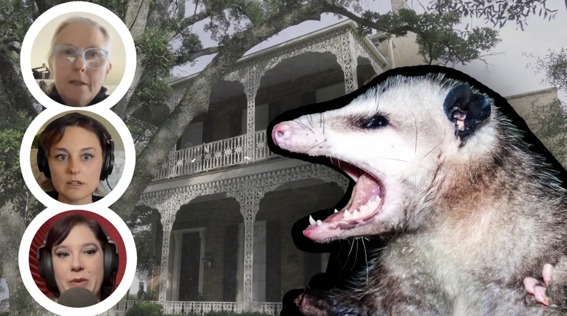 an angry opossum snarls at the viewer in the foreground, while yellowing haunted houses in Mississippi molder in the humid air in the background. To the left, the faces of Shannon Evans, Becky, and Diana are superimposed.